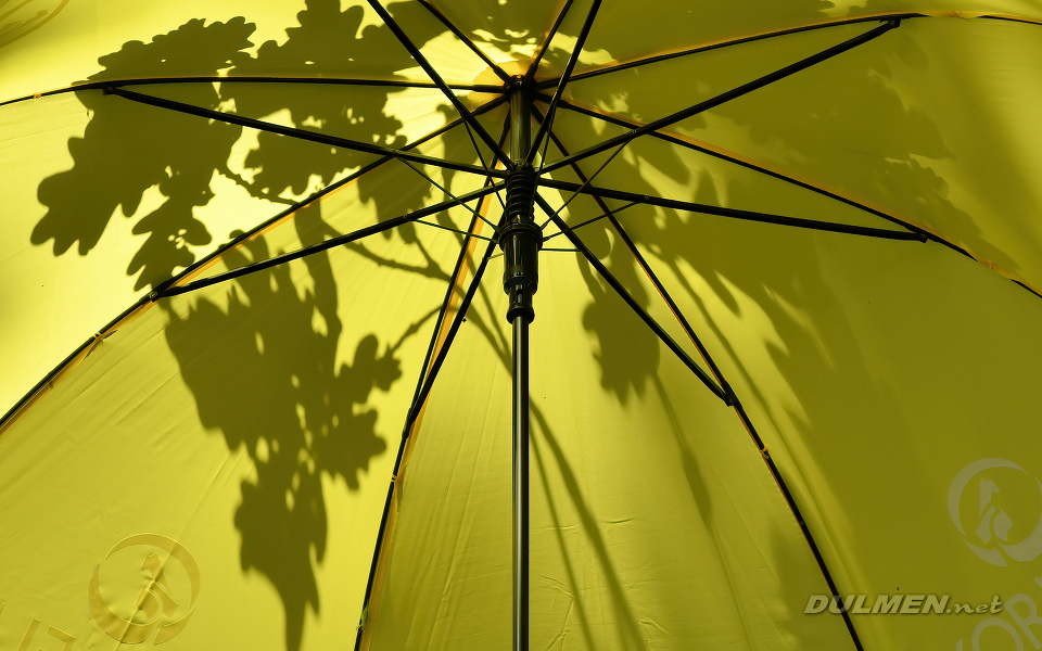 Shadows